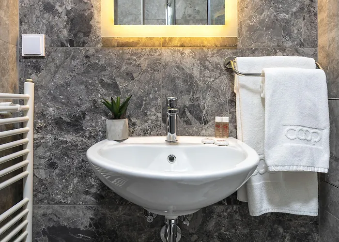 酒店 英特尔库珀酒店 2*